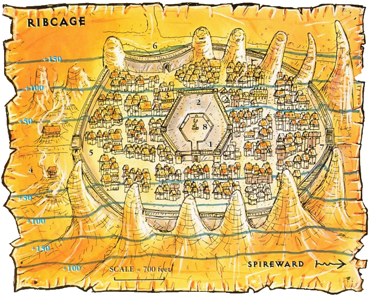 Ribcage-pto.png| right | 700